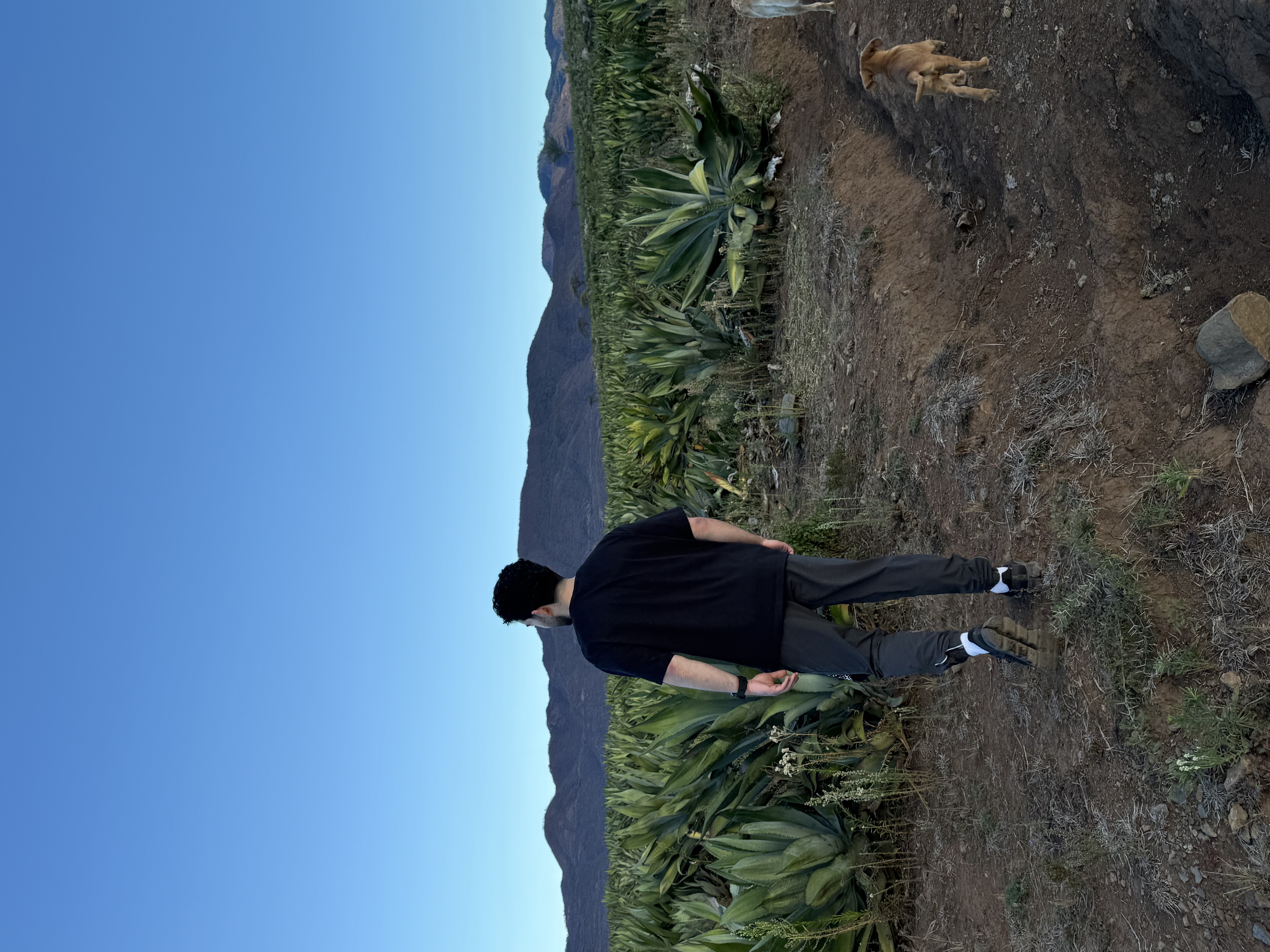 Dillan Kesto
